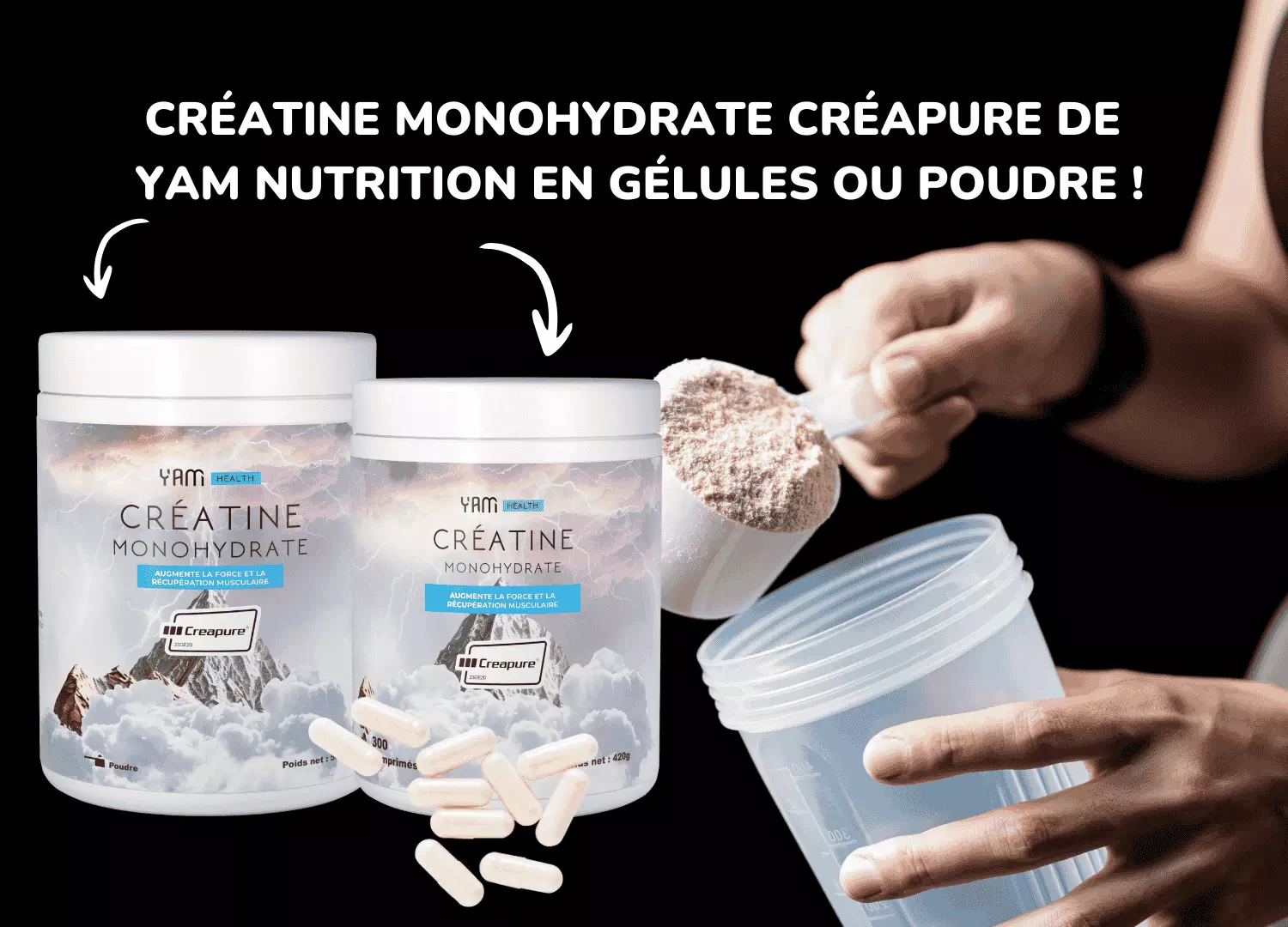 Créatine Monohydrate Tunisie : Guide d'achat, bienfaits et meilleures marques