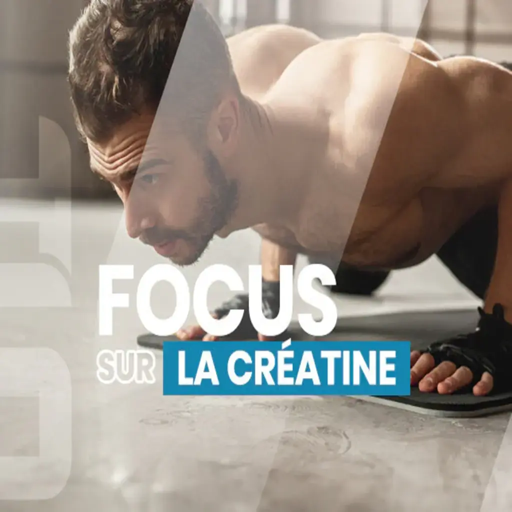 La créatine réglementée : sécurité, performance et utilisation légale