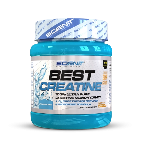 Best Creatine 500 g Scenit Nutrition – créatine monohydrate micronisée pure pour force, énergie et prise de masse. Disponible sur Protein.tn en Tunisie.